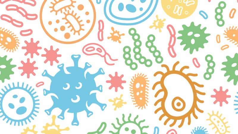 bactéries et vaccin COVID